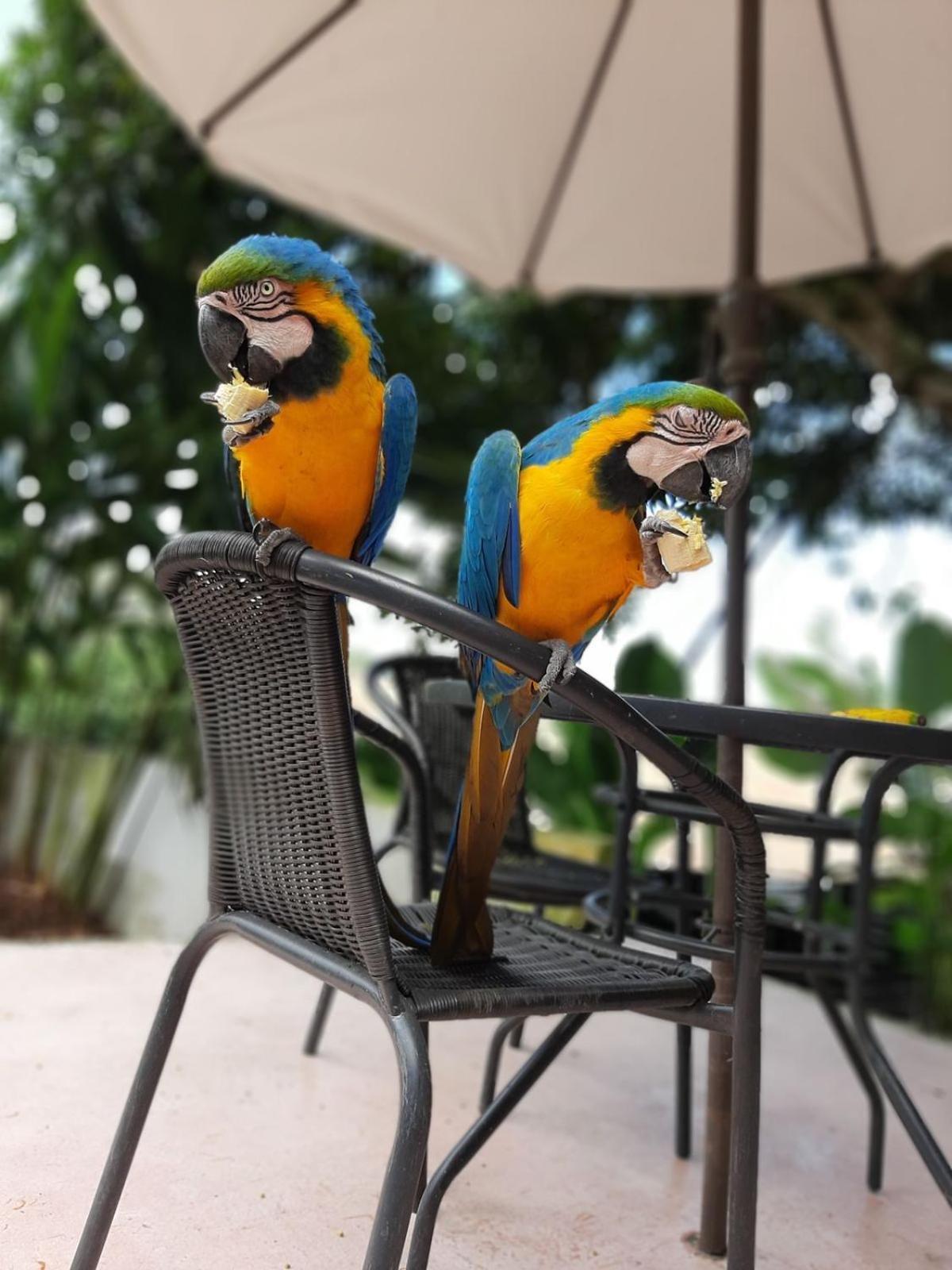 Vila Casa Campestre Buga Parcelacion Paraiso De Sonsito Exteriér fotografie