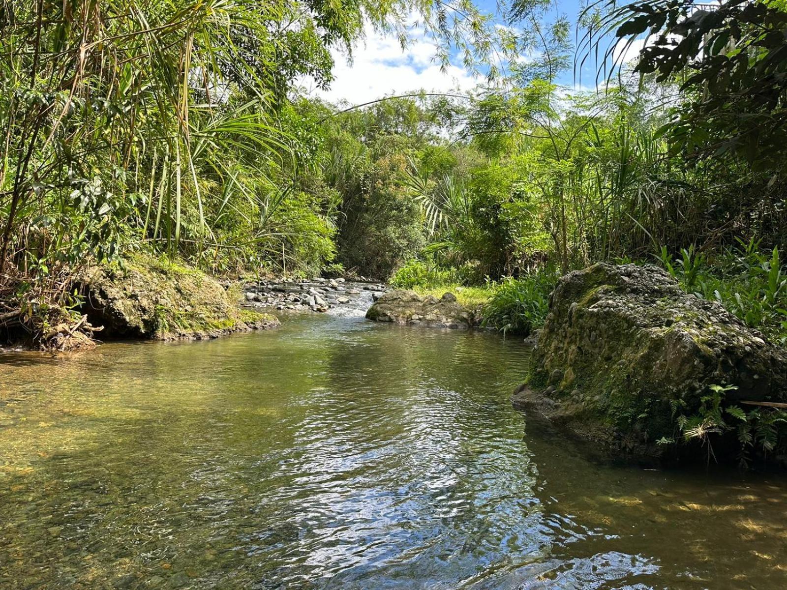 Vila Casa Campestre Buga Parcelacion Paraiso De Sonsito Exteriér fotografie